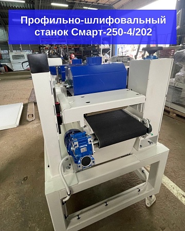 Профильно-шлифовальный станок Смарт-250-4/202