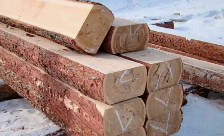 Электрическая ленточная пилорама Тайга Т-1М